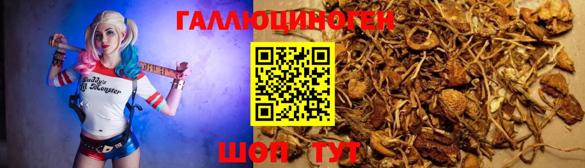 Псков  Псилоцибиновые грибы мицелий  Вход с VPN 